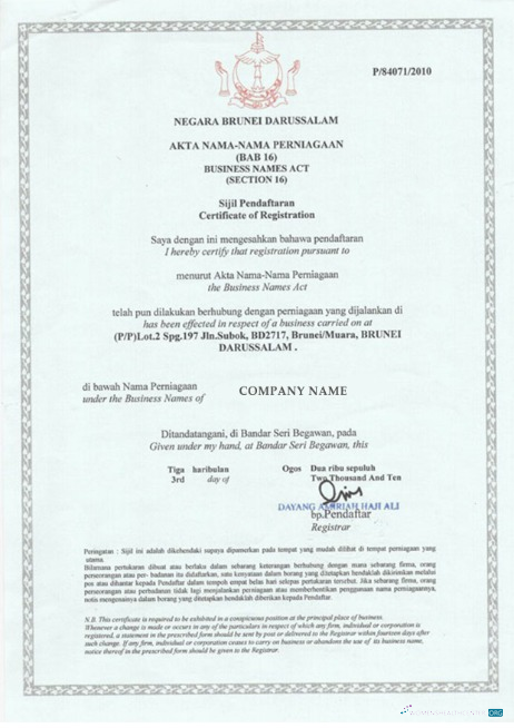 Download Brunei Business License Photoshop template